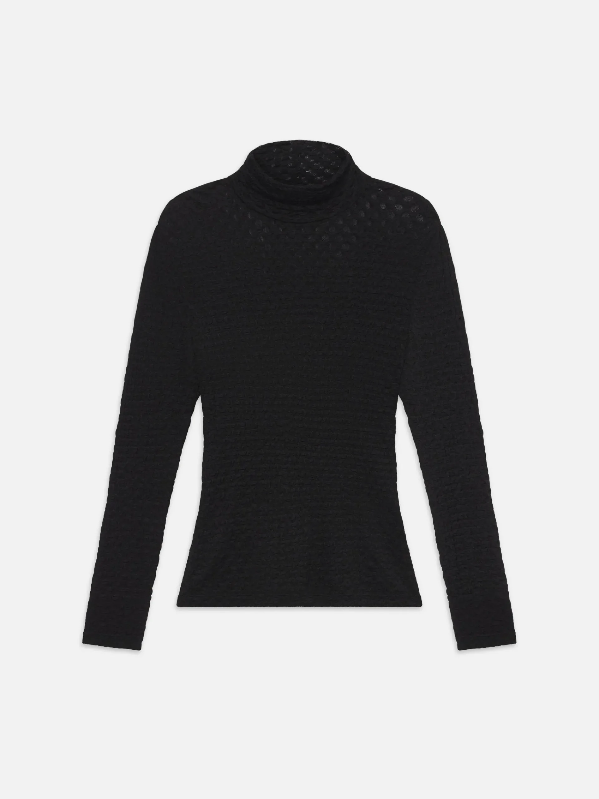 Women FRAME Mesh Lace Turtleneck in