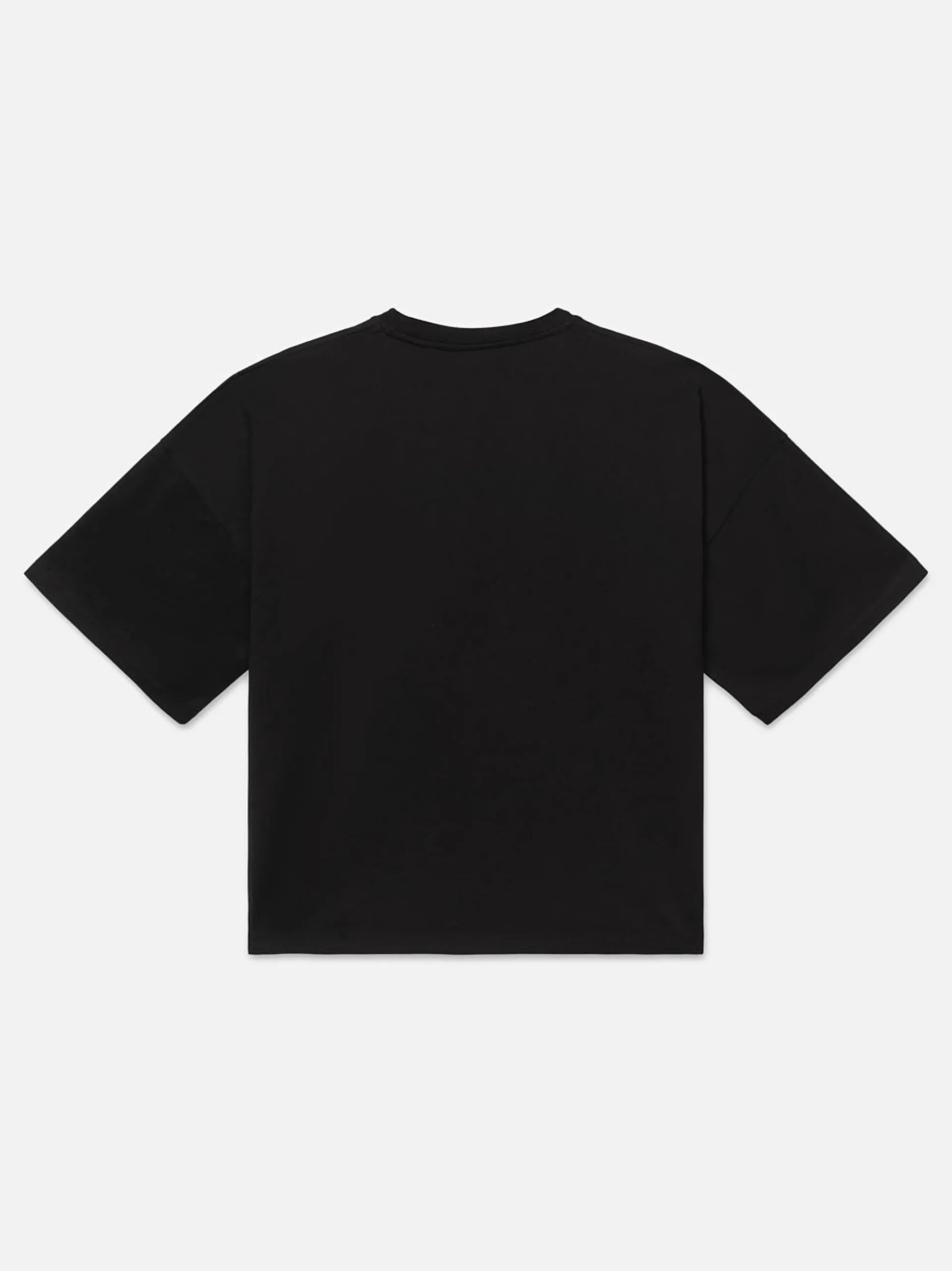 FRAME Ritz Men's Cropped Relaxed T Shirt in